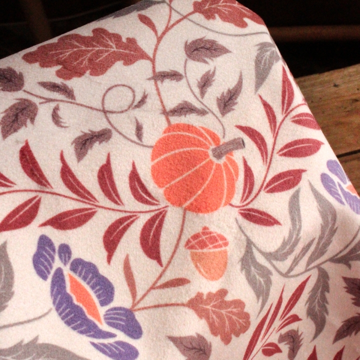 Tissu illustré "Pumpkin Cottage"