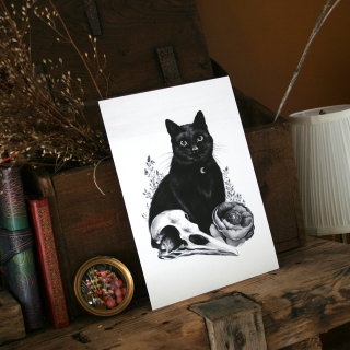 Tirage d'art - Chat noir