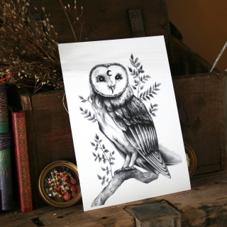 Tirage d'art - Chouette effraie