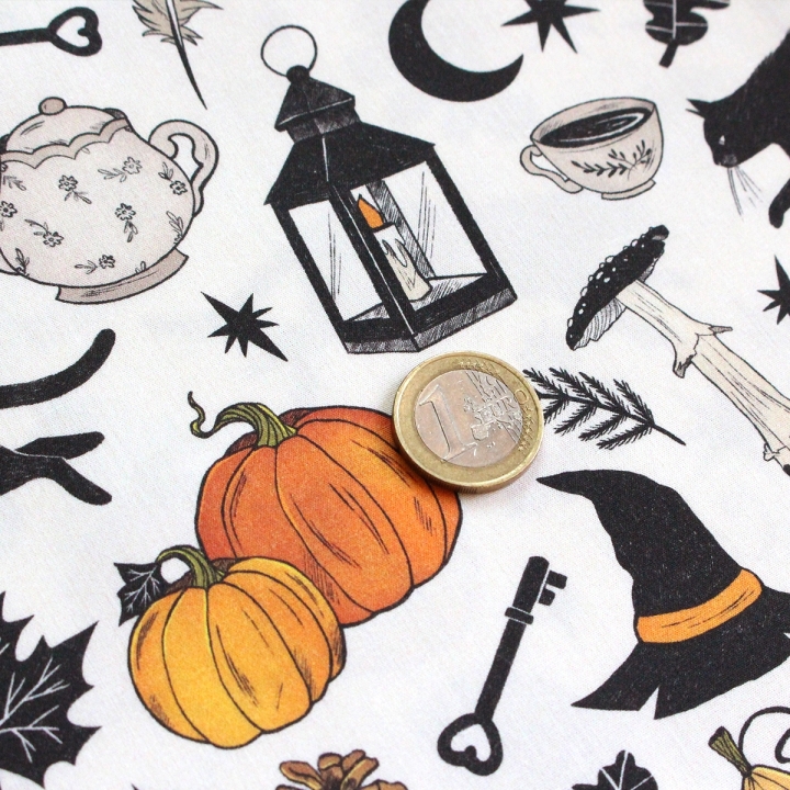 Tissu illustré "Autumn Witch"  – popeline, velours & French terry – motif sorcière, automnal