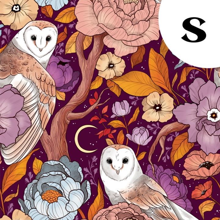 Coupon de tissu illustré "Chouettes effraies" 48x48 cm – Popeline & French Terry – motif poétique, sorcière