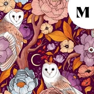 Tissu illustré "Chouettes effraies" – popeline, velours & French terry – motif mystique, sorcière, magique