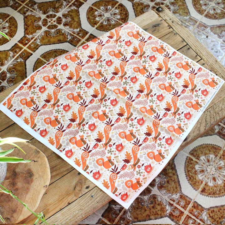 Coupon de tissu illustré "Écureuils écharpes" 48x48 cm – Popeline & French Terry – motif automnale