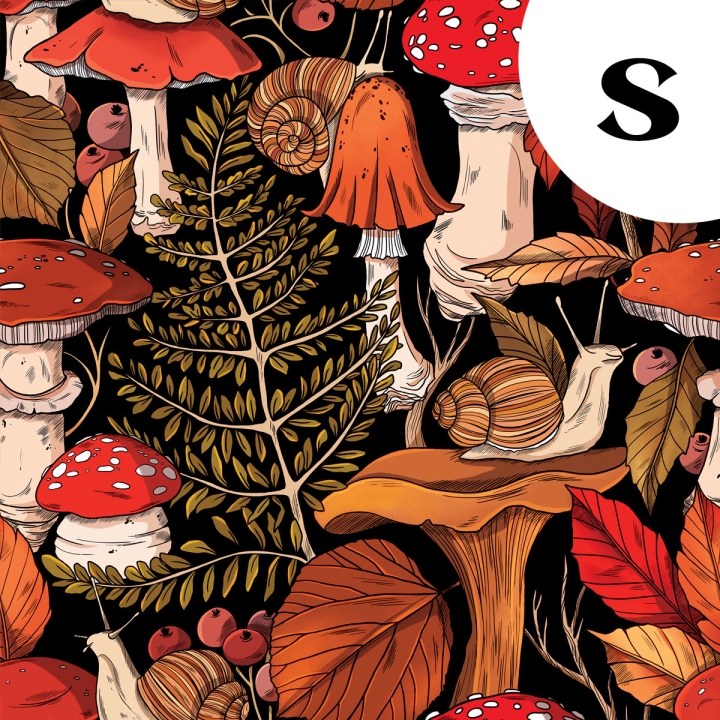 Tissu illustré "Escargots & champignons" – popeline, velours & French terry – motif automnal, forêt