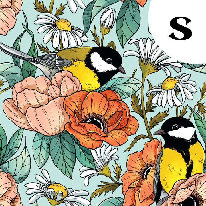 Tissu illustré "Mésanges" – popeline, velours & French terry – motif nature, poétique