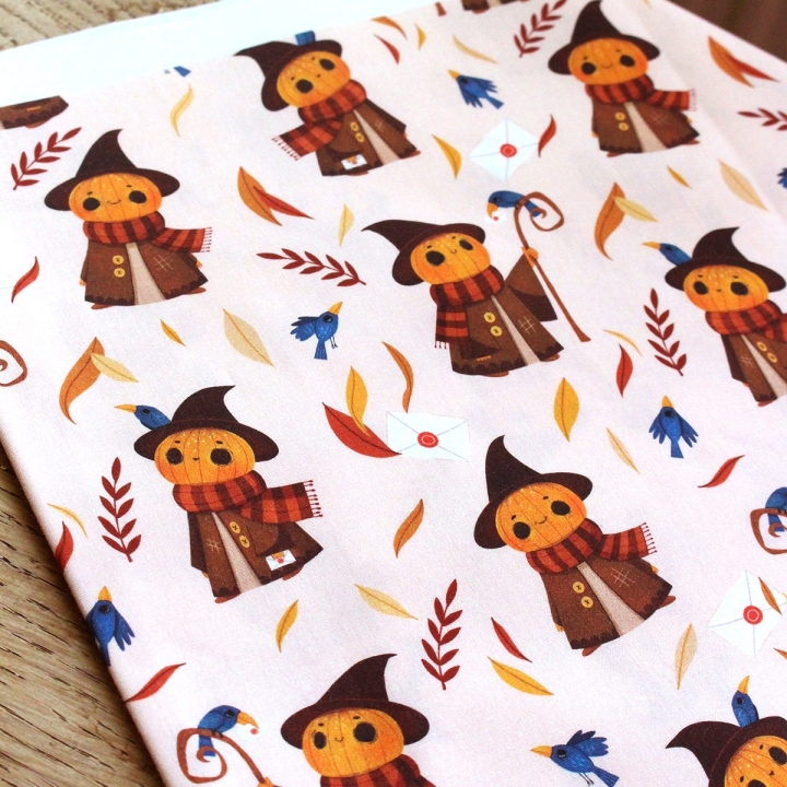Tissu illustré "Mr Pumpkin" – popeline, velours & French terry – motif automnal, halloween