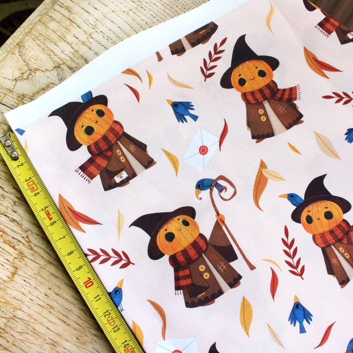Tissu illustré "Mr Pumpkin" – popeline, velours & French terry – motif automnal, halloween