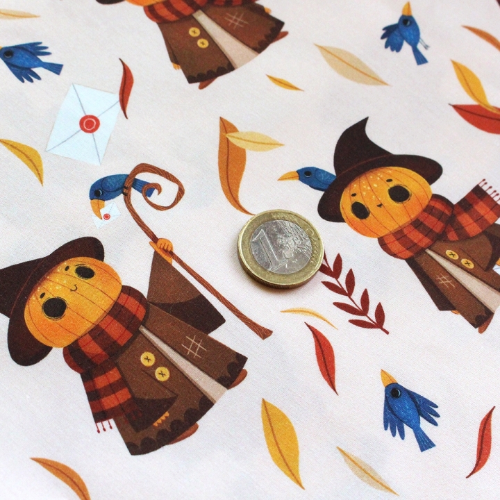 Tissu illustré "Mr Pumpkin" – popeline, velours & French terry – motif automnal, halloween