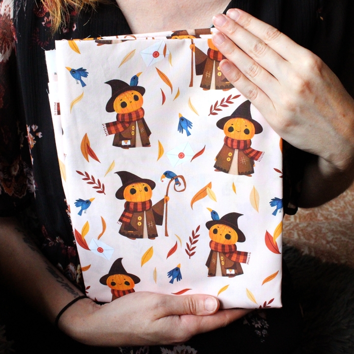 Tissu illustré "Mr Pumpkin" – popeline, velours & French terry – motif automnal, halloween