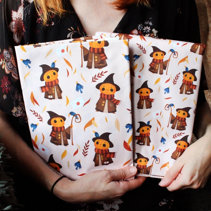 Tissu illustré "Mr Pumpkin" – popeline, velours & French terry – motif automnal, halloween