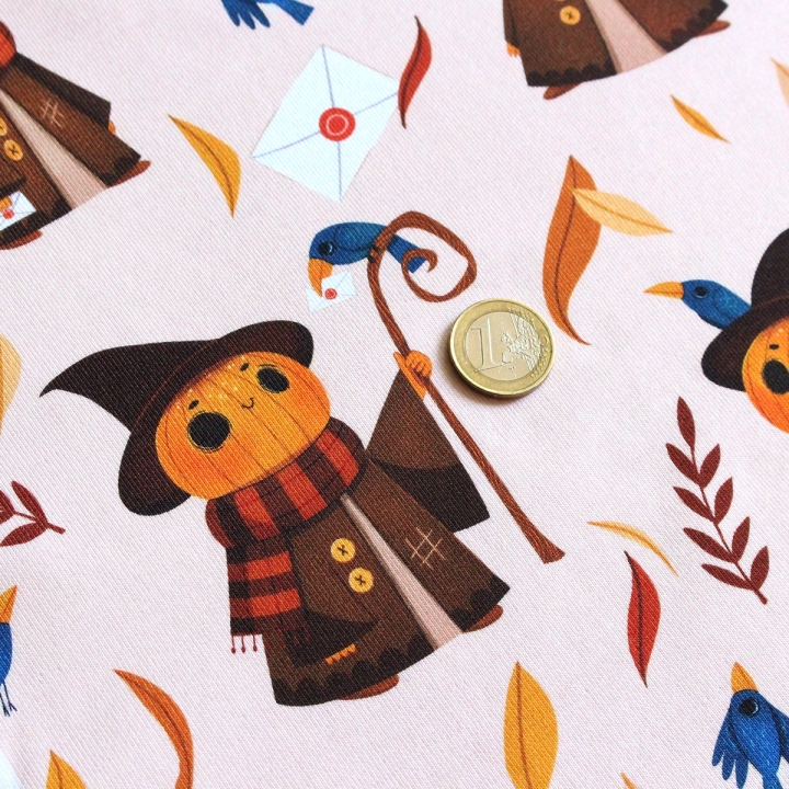 Tissu illustré "Mr Pumpkin" – popeline, velours & French terry – motif automnal, halloween