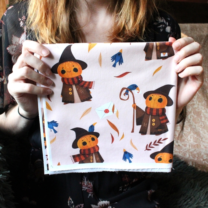 Tissu illustré "Mr Pumpkin" – popeline, velours & French terry – motif automnal, halloween