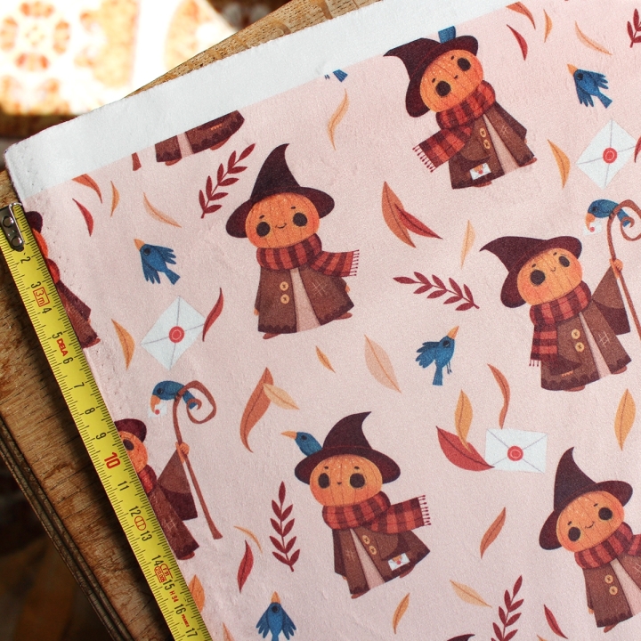 Tissu illustré "Mr Pumpkin" – popeline, velours & French terry – motif automnal, halloween