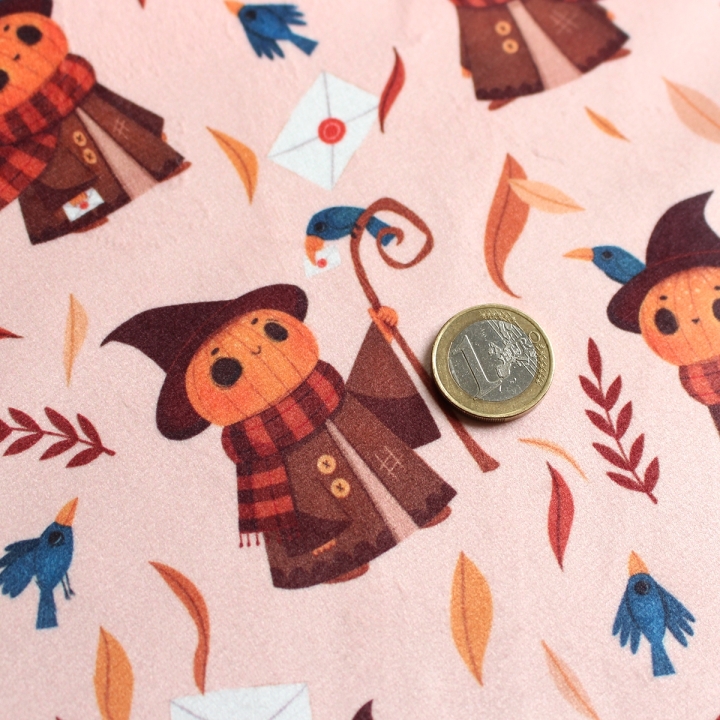 Tissu illustré "Mr Pumpkin" – popeline, velours & French terry – motif automnal, halloween