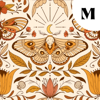 Tissu illustré "Papillon Luna" – popeline, velours & French terry – motif nature