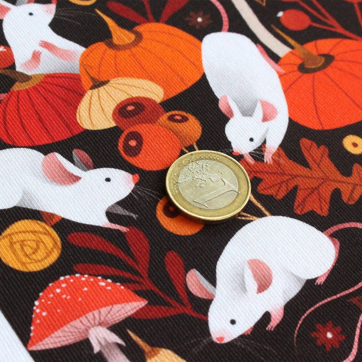 Coupon de tissu illustré "Souris & citrouilles" 48x48 cm – Popeline & French Terry – motif automnale