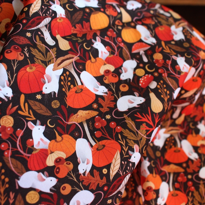 Tissu illustré "Souris & citrouilles" – popeline, velours & French terry – motif automnal