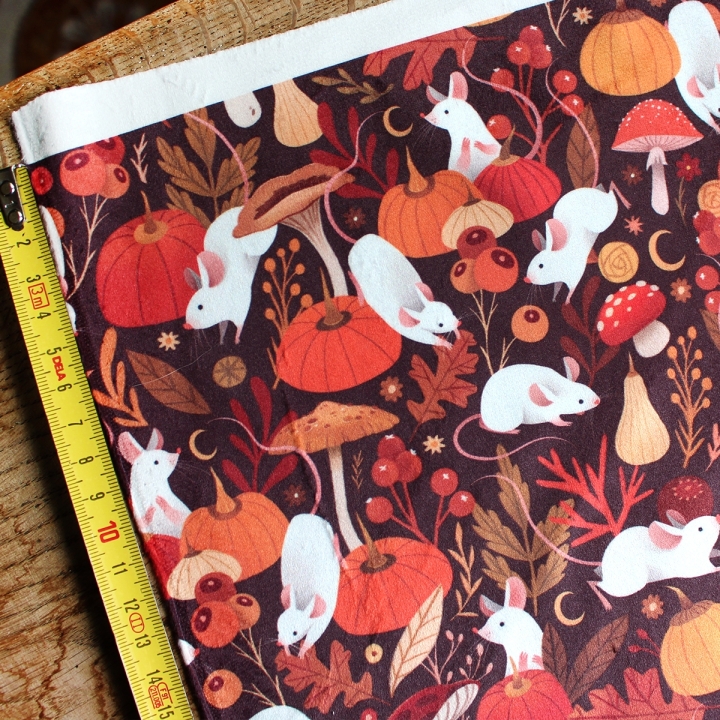 Tissu illustré "Souris & citrouilles" – popeline, velours & French terry – motif automnal