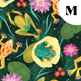 Tissu illustré "Grenouilles et nénuphars" – popeline, velours & French terry – motif printanier, coloré