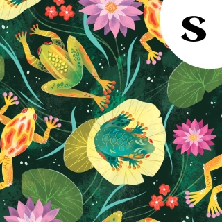 Tissu illustré "Grenouilles et nénuphars" – popeline, velours & French terry – motif printanier, coloré